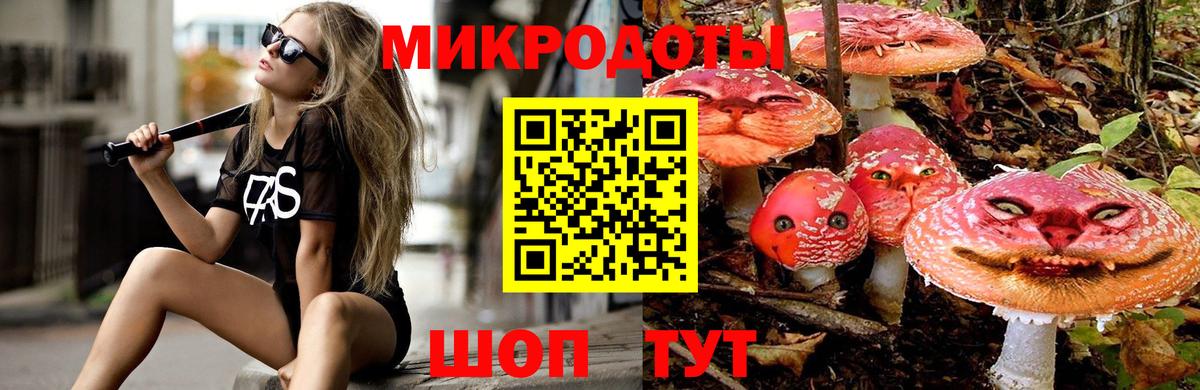 Псилоцибиновые грибы Cubensis  Вход с VPN  Галлюциногенные грибы Magic Shrooms  Зеленогорск 